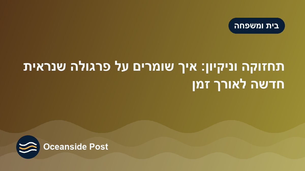 תחזוקה וניקיון: איך שומרים על פרגולה שנראית חדשה לאורך זמן