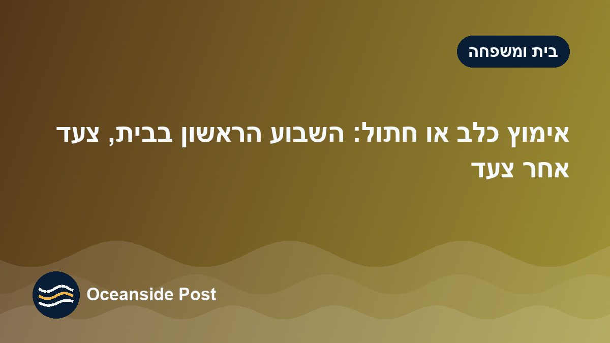 אימוץ כלב או חתול: השבוע הראשון בבית, צעד אחר צעד